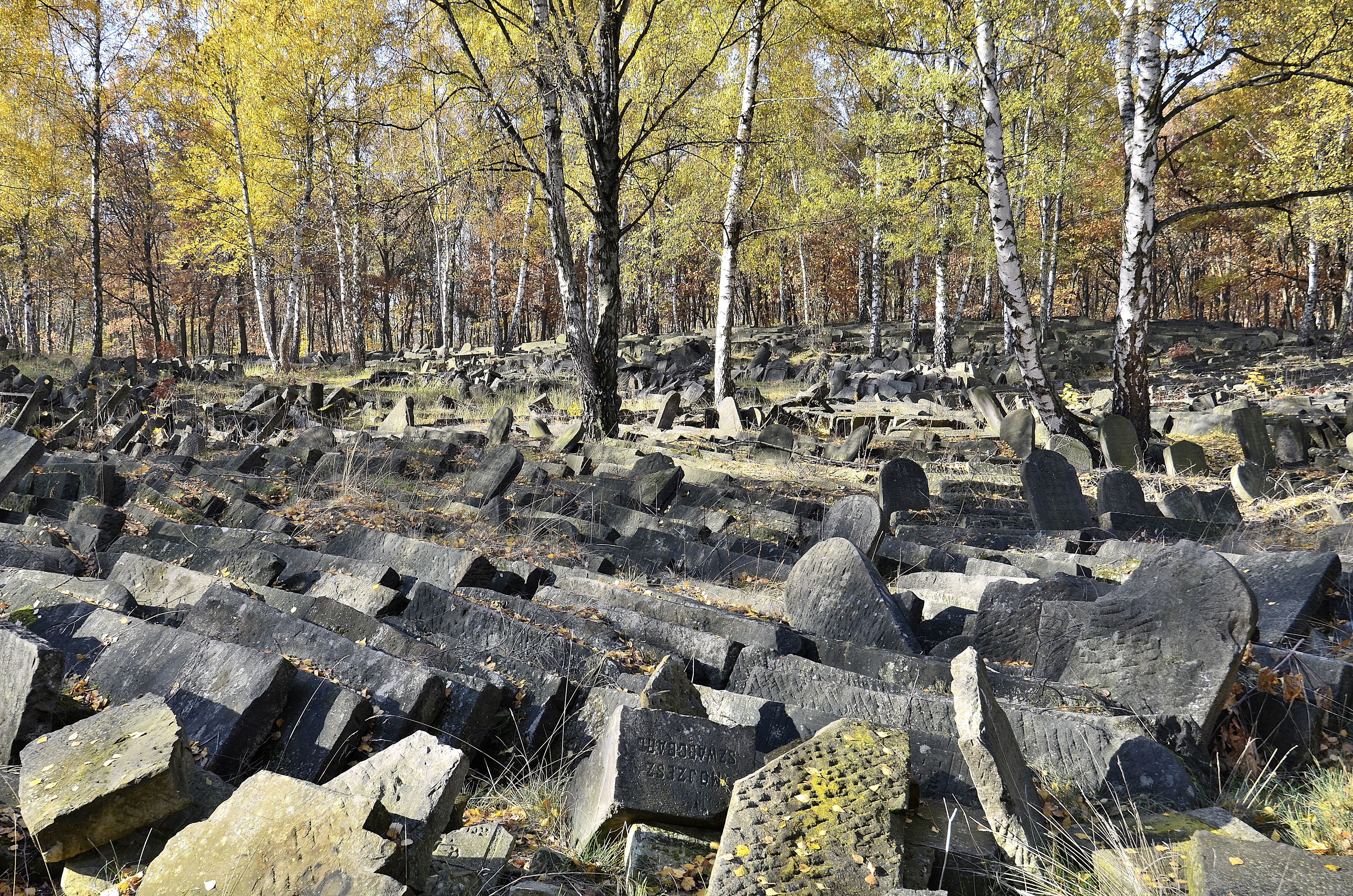 Den jødiske kirkegården